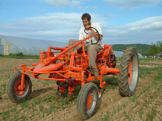 Rick_on_Allis_Chalmers_G_cultivating_onions.sized.jpg