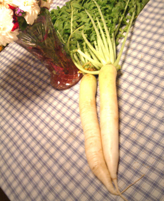 Daikon Radish Images