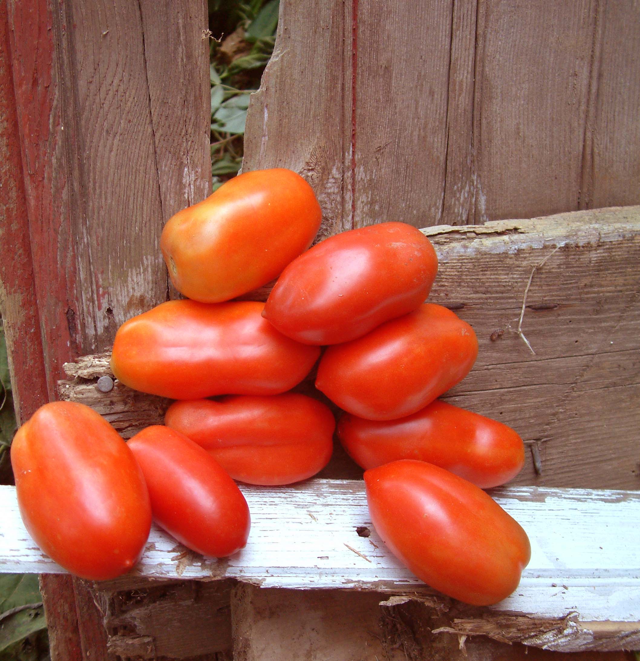 http://www.coveredbridgeproduce.com/albums/veggie/Tomato_San_Marzano.jpg
