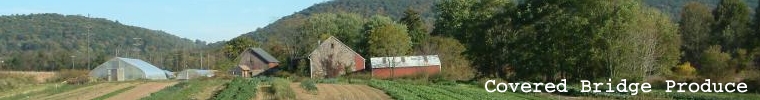 Covered Bridge Produce